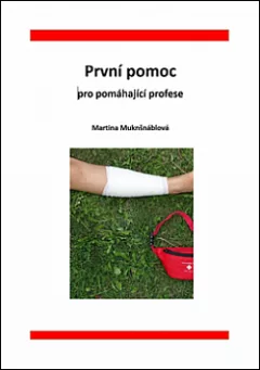 První pomoc pro pomáhající profese