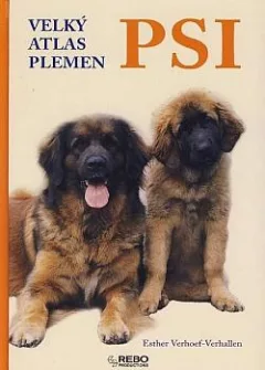 Psi