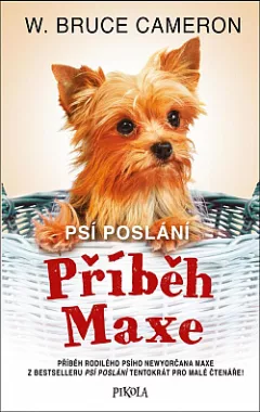 Příběh Maxe