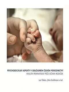 Psychosociální aspekty v současném českém porodnictví - Kvalita perinatální péče očima rodiček