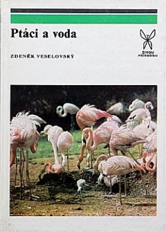Ptáci a voda