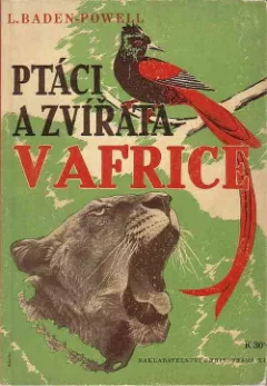 Ptáci a zvířata v Africe