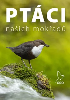 Ptáci našich mokřadů