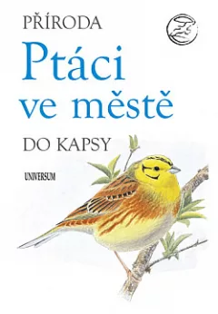 Ptáci ve městě