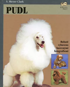Pudl