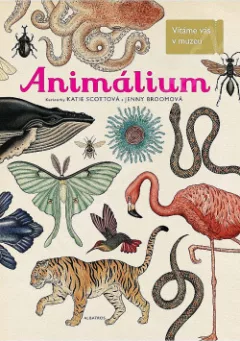 Animálium
