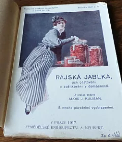 Rajská jablka
