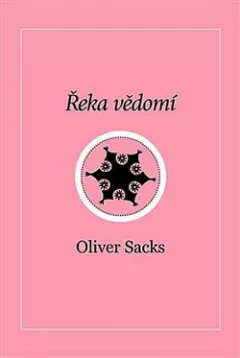 Řeka vědomí