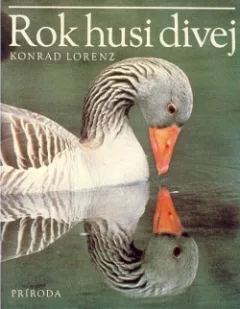 Rok husi divej
