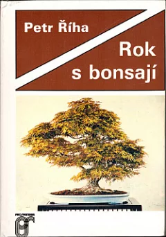 Rok s bonsají