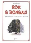 Rok s bonsají - postupy pěstování od jara do zimy