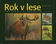 Rok v lese povídkou a obrazem