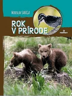 Rok v prírode