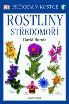 Rostliny Středomoří