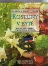 Rostliny v bytě