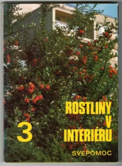 Rostliny v interiéru 3
