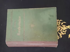 Rozkošnice: Paměti slečny z Luyenes I.