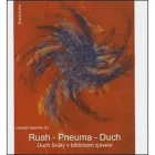 Ruah - Pneuma - Duch, Duch Svätý v biblickom zjavení