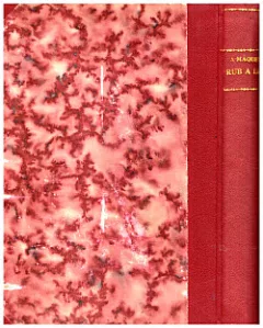Rub a líc
