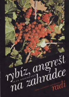 Rybíz, angrešt na zahrádce