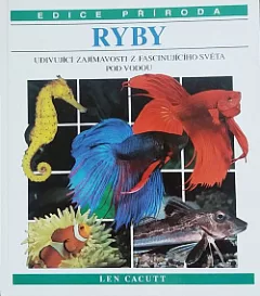 Ryby
