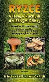 Ryzce v lese, v kuchyni a s léčivými účinky