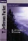 S chladnou hlavou