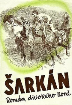 Šarkán: Román divokého koně