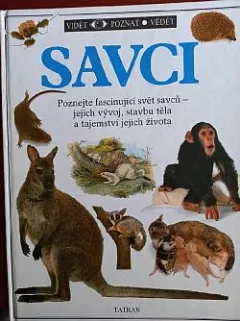 Savci