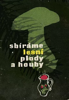 Sbíráme lesní plody a houby