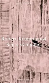 Sen s výčitkami