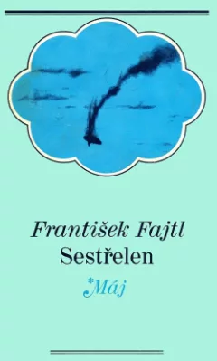 Sestřelen