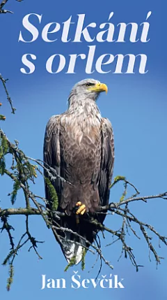 Setkání s orlem