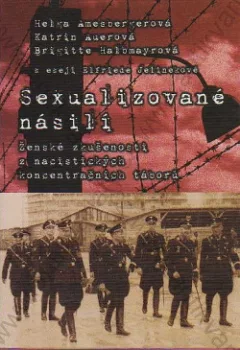 Sexualizované násilí