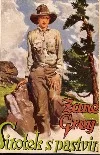 Sirotek z pastvin