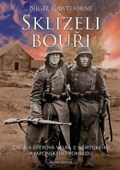 Sklízeli bouři