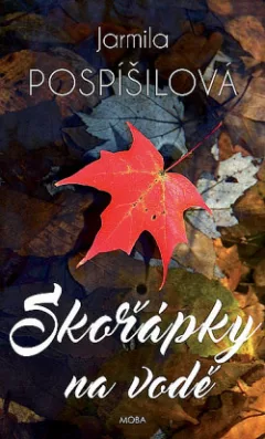 Skořápky na vodě