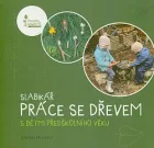 Slabikář práce se dřevem s dětmi předškolního věku