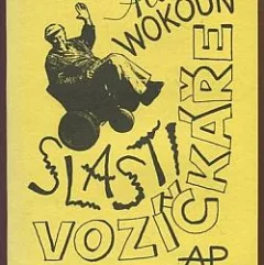 Slasti vozíčkáře