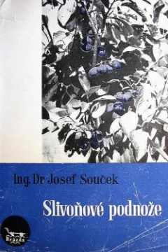 Slivoňové podnože