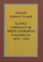 Slováci v Kráľovstve Srbov, Chorvátov a Slovincov v rokoch 1918-1929