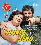 Slunce, seno... Helena Růžičková a populární filmová trilogie