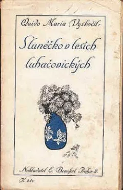 Slunéčko v lesích luhačovických