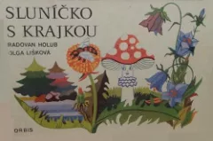 Sluníčko s krajkou