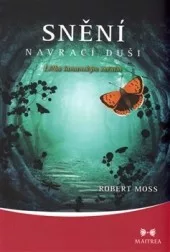 Snění navrací duši - Léčba šamanským sněním