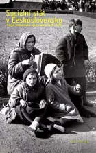 Sociální stát v Československu: Právně-institucionální vývoj v letech 1918-1992