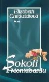 Sokoli z Montabardu
