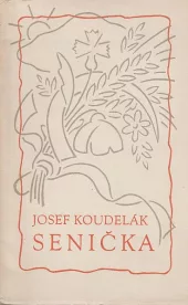 Sonička