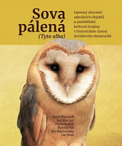 Sova pálená (Tyto alba) - tajemný obyvatel sakrálních objektů a zemědělské kulturní krajiny v historickém území