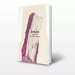 ŠPALEK - myšlenky v rozhovorech
